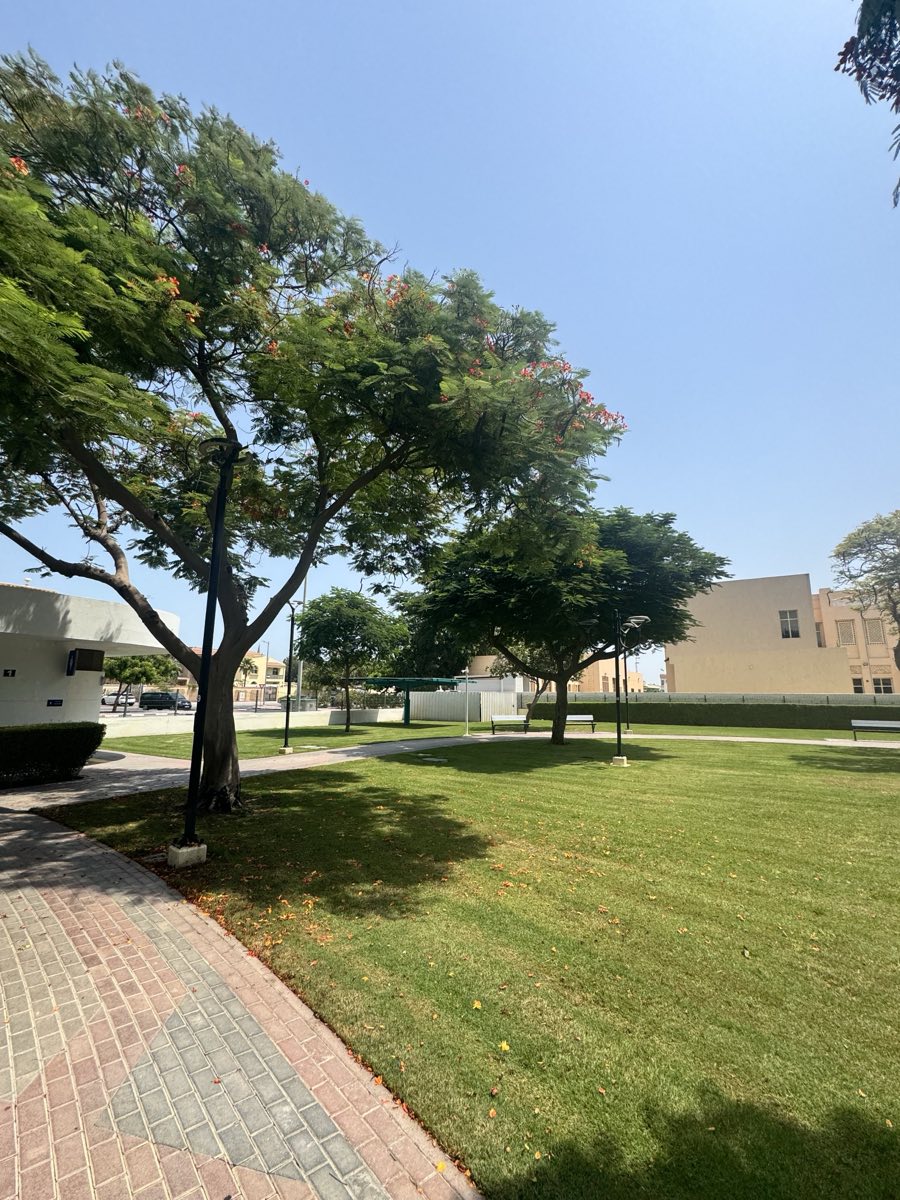 Site photo
